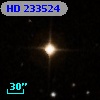 HD 233524