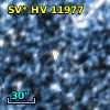 SV* HV 11977