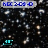 NGC  2439    43