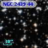 NGC  2439    44