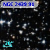 NGC  2439    91