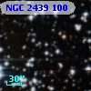 NGC  2439   100