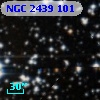 NGC  2439   101