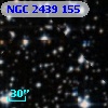 NGC  2439   155