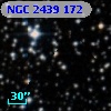 NGC  2439   172