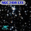 NGC  2439   173