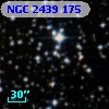 NGC  2439   175