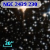 NGC  2439   230