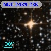 NGC  2439   236