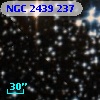 NGC  2439   237
