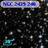 NGC  2439   240