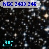 NGC  2439   246