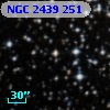 NGC  2439   251