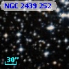 NGC  2439   252