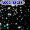 NGC  2439   267