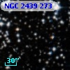 NGC  2439   273