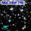 NGC  2439   290