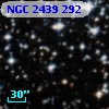 NGC  2439   292