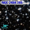 NGC  2439   293