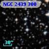 NGC  2439   300