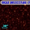 OGLE J053227.66-703032.6