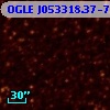 OGLE J053318.37-702404.5