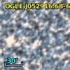 OGLE J052916.68-695817.6
