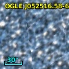 OGLE J052516.58-693025.7