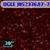 OGLE J052336.87-700318.4
