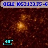 OGLE J052123.75-695648.9