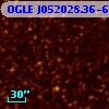 OGLE J052028.36-695403.6