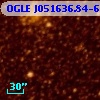 OGLE J051636.84-694028.4