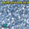 OGLE J051709.36-692521.2