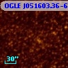 OGLE J051603.36-692429.6