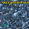 OGLE J051019.36-691622.3