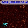OGLE J050855.38-691011.8