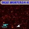 OGLE J050759.54-690203.0