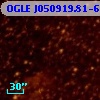 OGLE J050919.81-684427.3