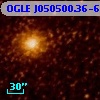 OGLE J050500.36-692423.3