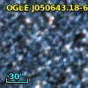 OGLE J050643.18-691359.5