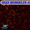 OGLE J050603.79-690413.6