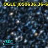 OGLE J050636.36-681748.4