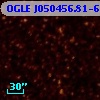 OGLE J050456.81-684641.3