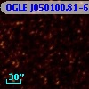 OGLE J050100.81-691903.3