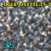 OGLE J053731.75-701650.4