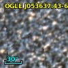 OGLE J053637.43-695330.0