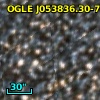 OGLE J053836.30-703038.5