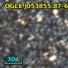 OGLE J053855.87-695502.3