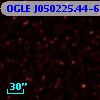 OGLE J050225.44-684148.4