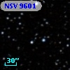 NSV  9601